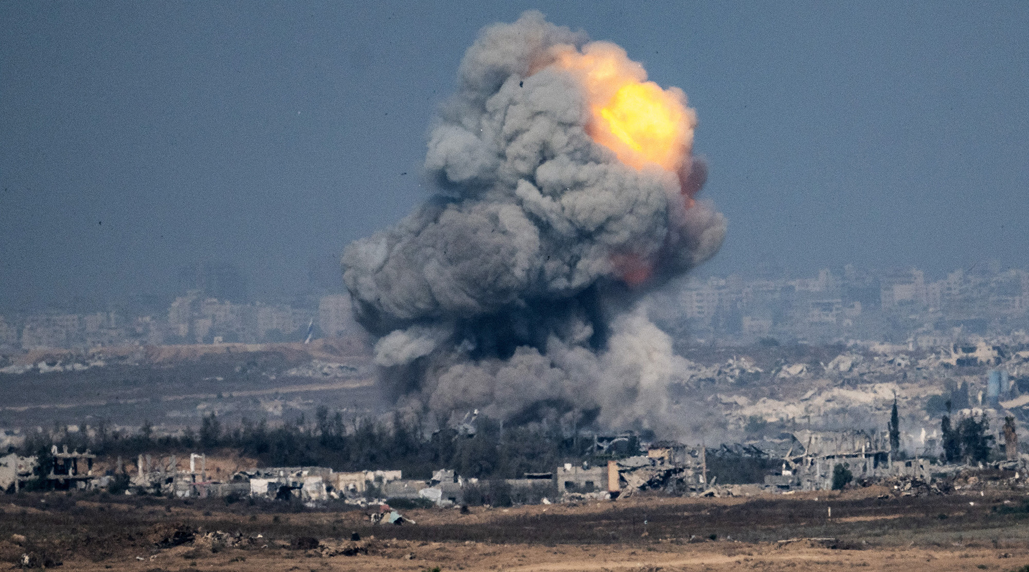 A-fost-ucis-%E2%80%9EPele-din-Palestina-