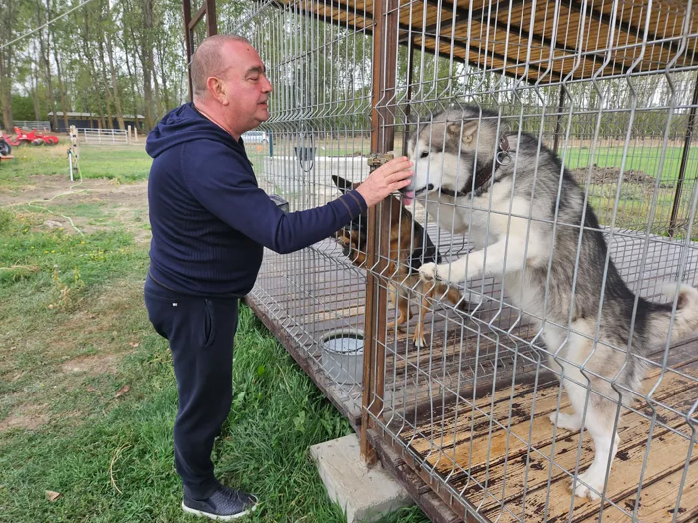 Afaceristul Gigi Nețoiu are câini pe care cere 20.000 de euro și a stârnit curiozitatea celui mai bogat pensionar român: „Păi, ce, au picioare de aur?”