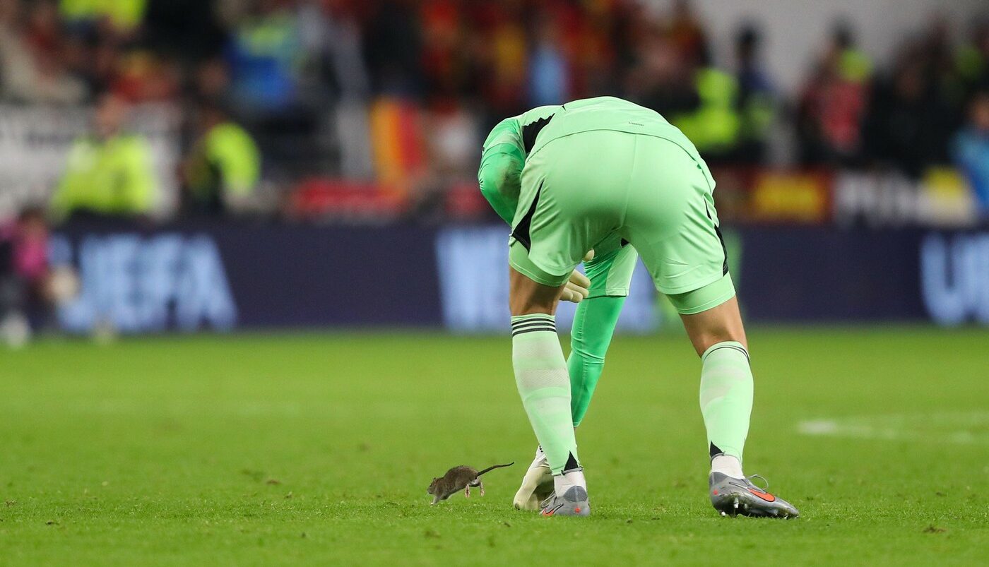 Moment de-a dreptul incredibil: un şobolan a invadat terenul în Țara Galilor – Belgia din preliminariile CM 2026