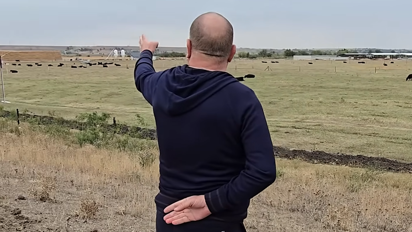 Un milionar român a cumpărat masiv terenuri în Lunca Dunării, dar afacerea cu care vrea să se îmbogățească e lovită crunt de haitele de șacali!