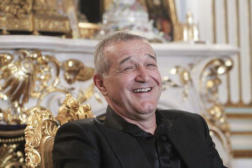 Comunicatul în care MApN recunoşte că echipa lui Gigi Becali este Steaua şi că trebuie să evolueze în Ghencea: „Să joace din nou acasă”
