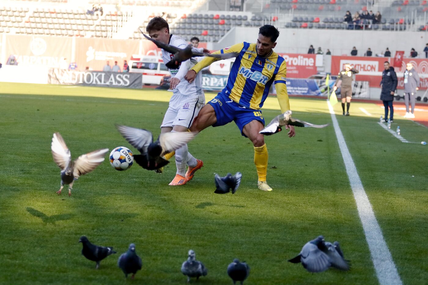 Hermannstadt – Petrolul Ploiești 1-1, în etapa 21 din Superliga. Echipa lui Dorinel Munteanu smulge un punct în minutul 90!