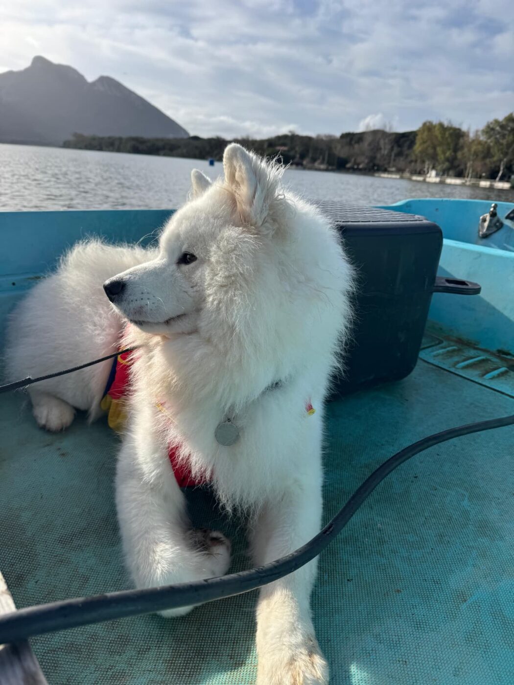 SPECIAL Companie inedită în cantonamentul din Italia pentru canotori! Câinele Hugo a devenit mascota Team Romania