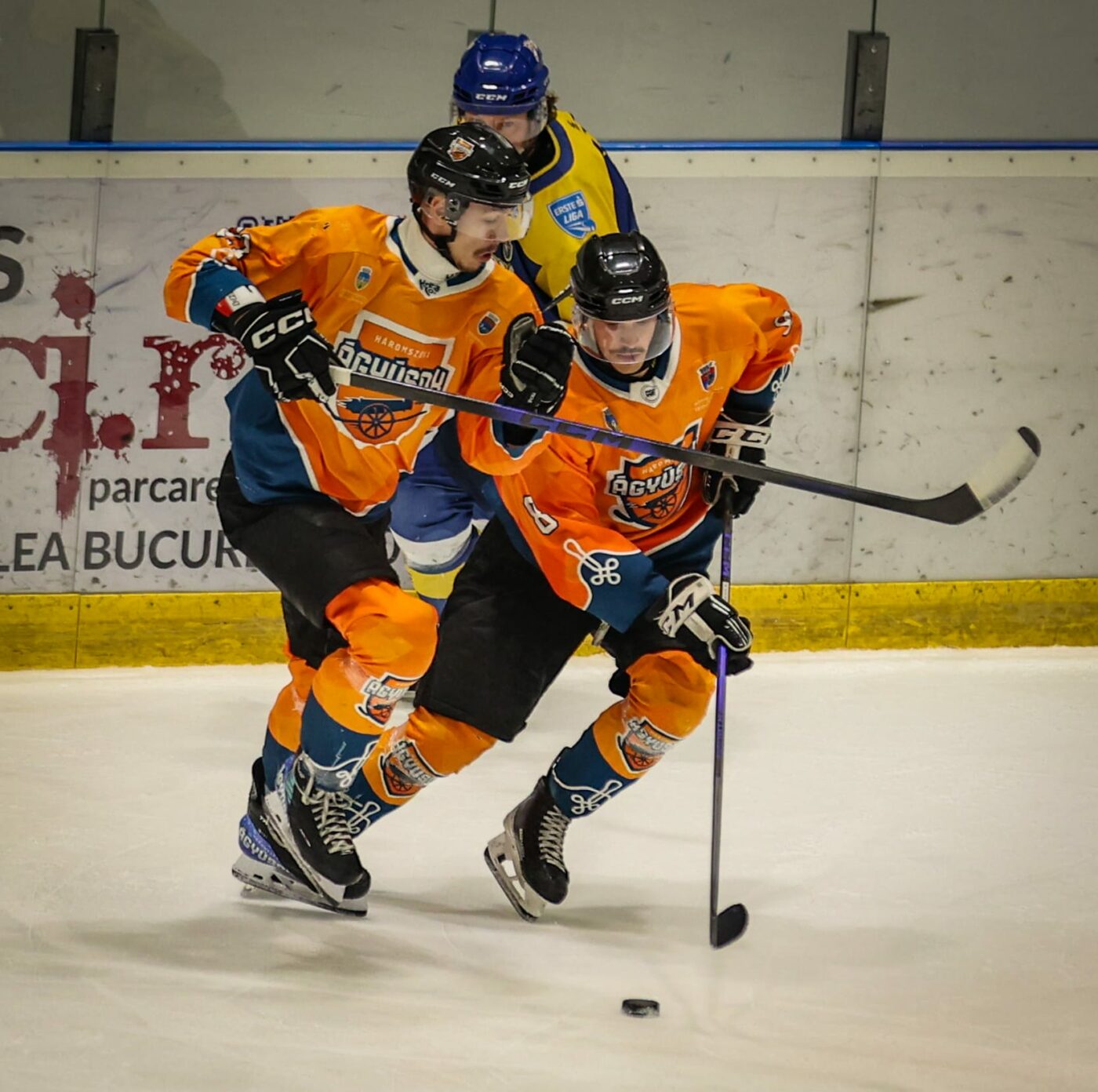 ACSH Gheorgheni și-a păstrat titlul. Harghitenii au câștigat campionatul la hochei chiar pe terenul rivalei Corona Brașov