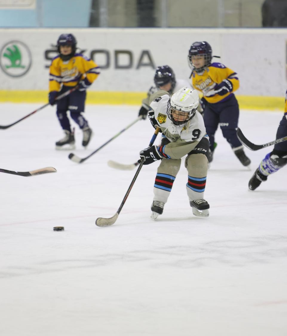 400 de copii, 32 de echipe și două zile de hochei la Kids Cup 2026. Micii sportivi au făcut spectacol pe gheața Patinoarului Allianz-Țiriac Arena, la cea de-a doua ediție a turneului de hochei organizat de Fundația Țiriac, dedicat echipelor U7, U9 și U11