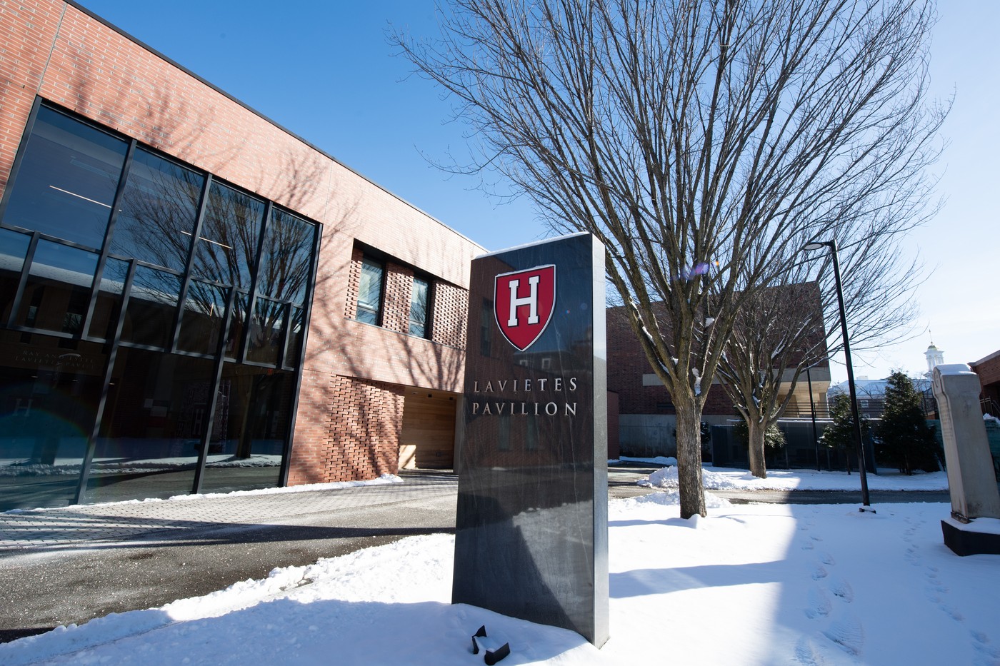 Un-roman-de-49-de-ani-a-primit-o-bursa-de-studii-la-Harvard-„Educatia-nu-se-opreste-niciodata.jpg