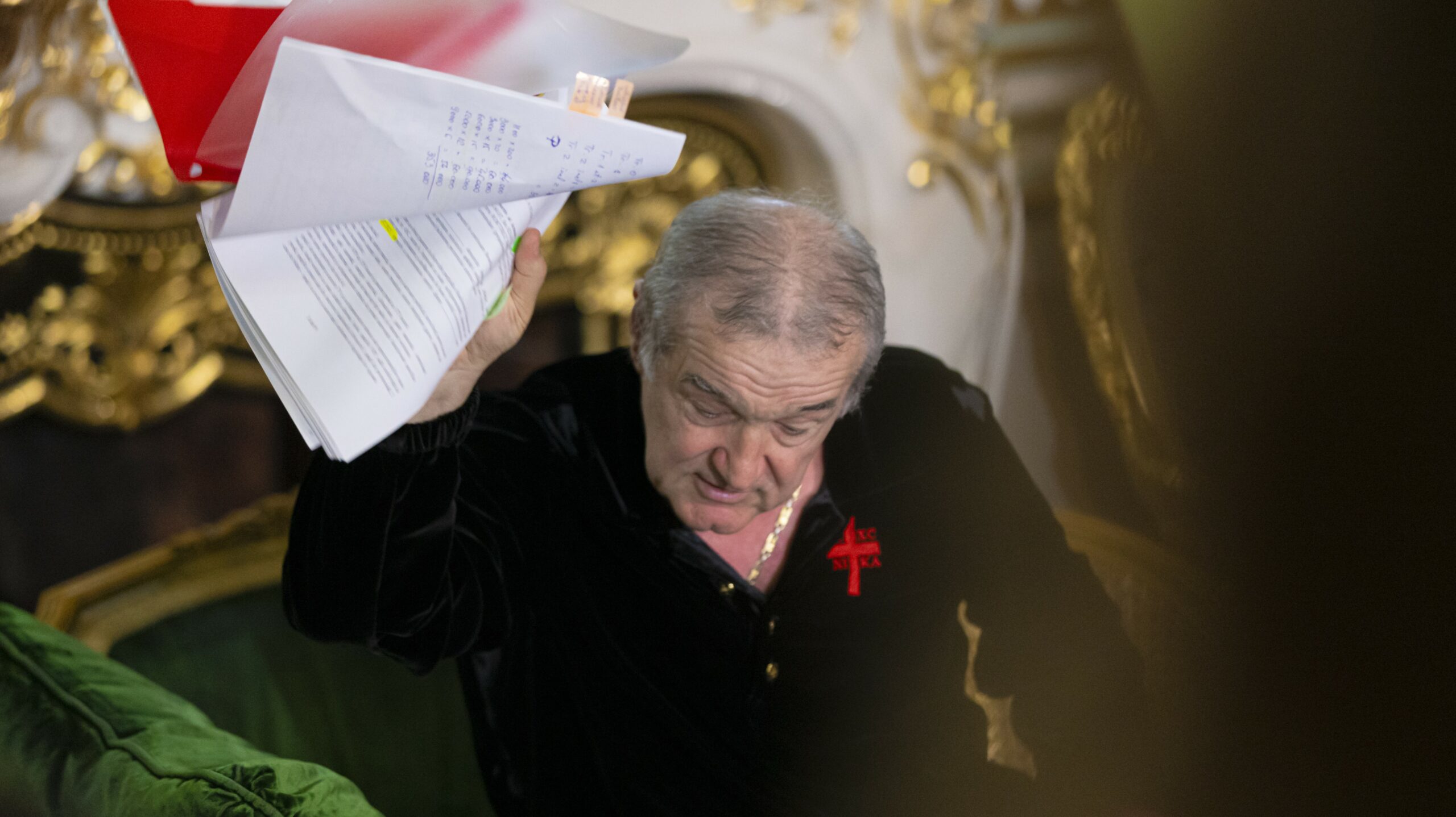 a terminat! Curtea Constituțională a României a decis că Gigi Becali nu poate folosi marca Steaua București!