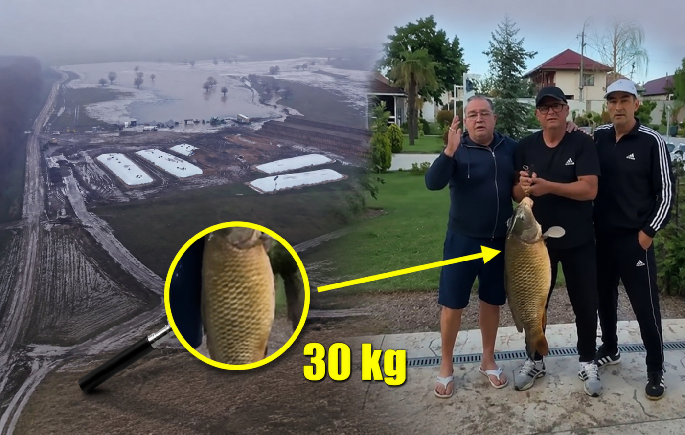 De necrezut! Gigi Nețoiu și Victor Pițurcă au prins un crap de 30 de kilograme: „Cel mai mare trofeu!”