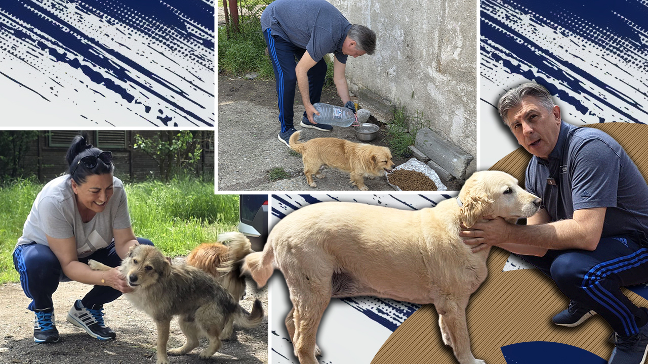 EXCLUSIV Haita lui Lupescu: reportaj la ferma din Snagov unde dinamovistul și soția hrănesc și îngrijesc zilnic peste 20 de câini. „Adoptați! Animalele nu-și aleg capul haitei un idiot”