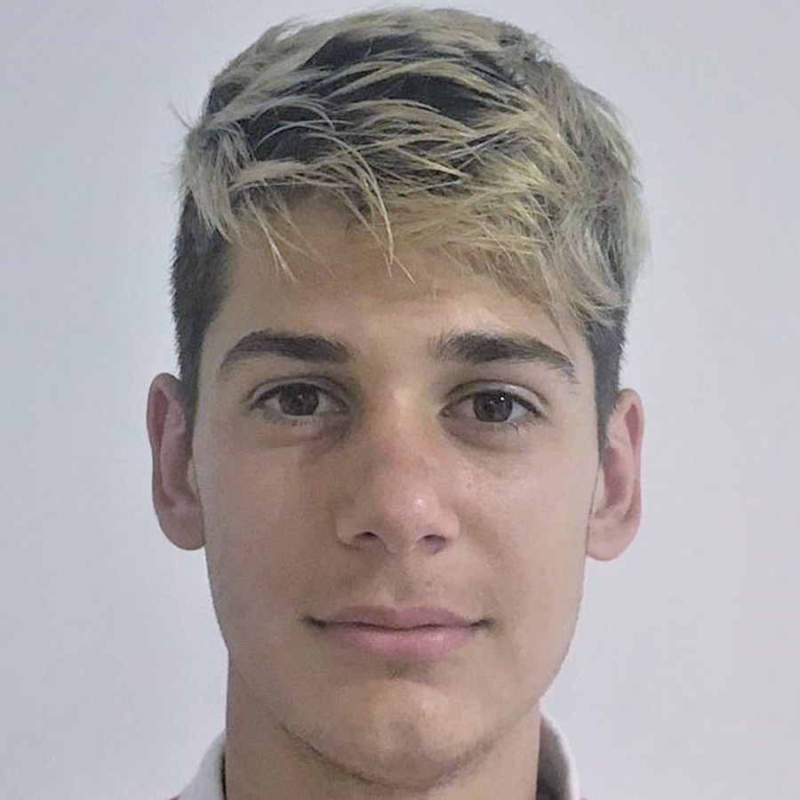 valentin ioan borcea dinamo