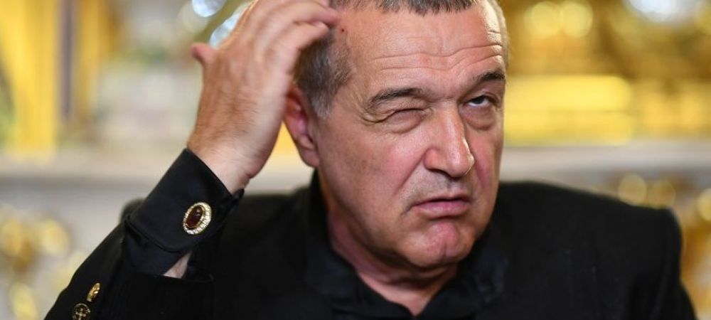 Gigi Becali și-a luat o turmă formată din sute de oi și se pregătește să se retragă definitiv! Planul patronului lui FCSB