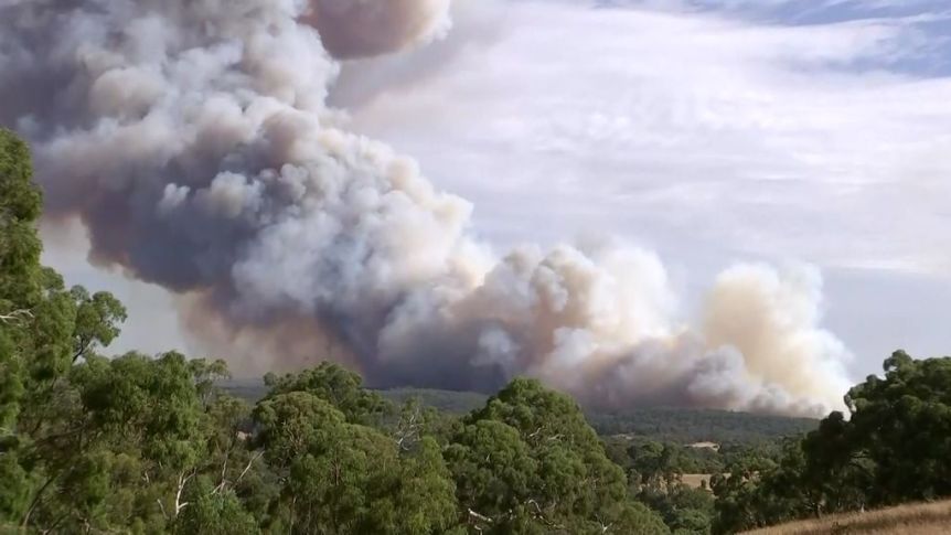 Alertă pentru Simona Halep la Adelaide! Un incendiu necontrolat a izbucnit în apropierea hotelului în care este carantinată românca | FOTO și VIDEO