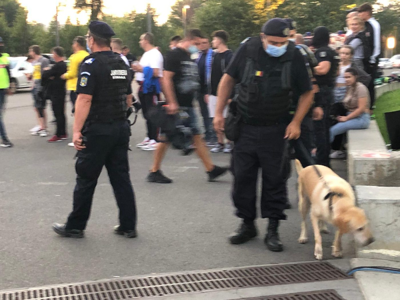 Acțiunile jandarmilor dinaintea derby-ului FCSB-Dinamo, criticate dur: „Urât! Ce puteau să aibă, tămâie?” | EXCLUSIV ProSport Live
