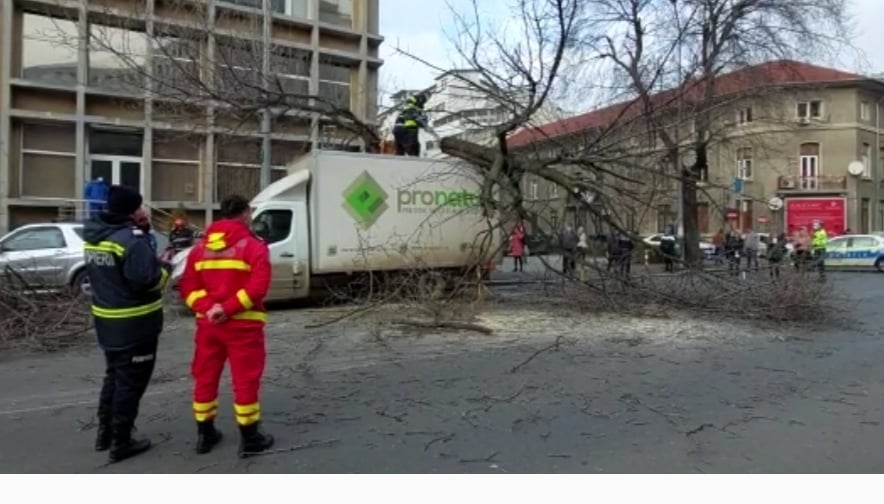 Prima reacție a lui Ionel Dănciulescu, după ce un copac a căzut peste mașina în care se afla soția sa: „Acum suntem la Poliție”. A tras o sperietură groaznică! | EXCLUSIV