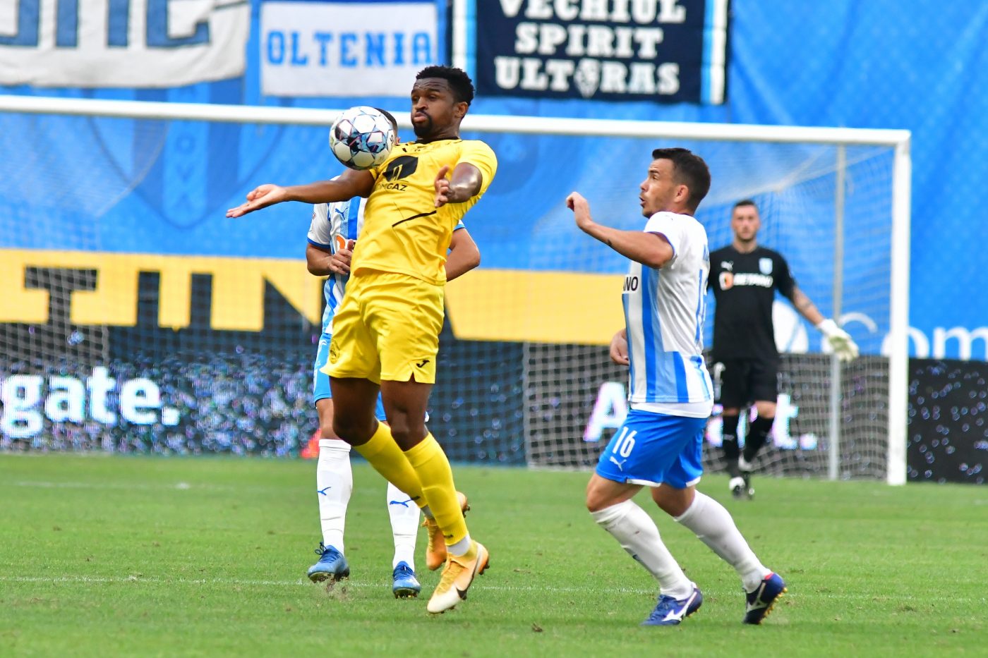 Dinamo, lovitură după lovitură! Christian Irobiso va fi și el de miercuri jucătorul „câinilor” | EXCLUSIV