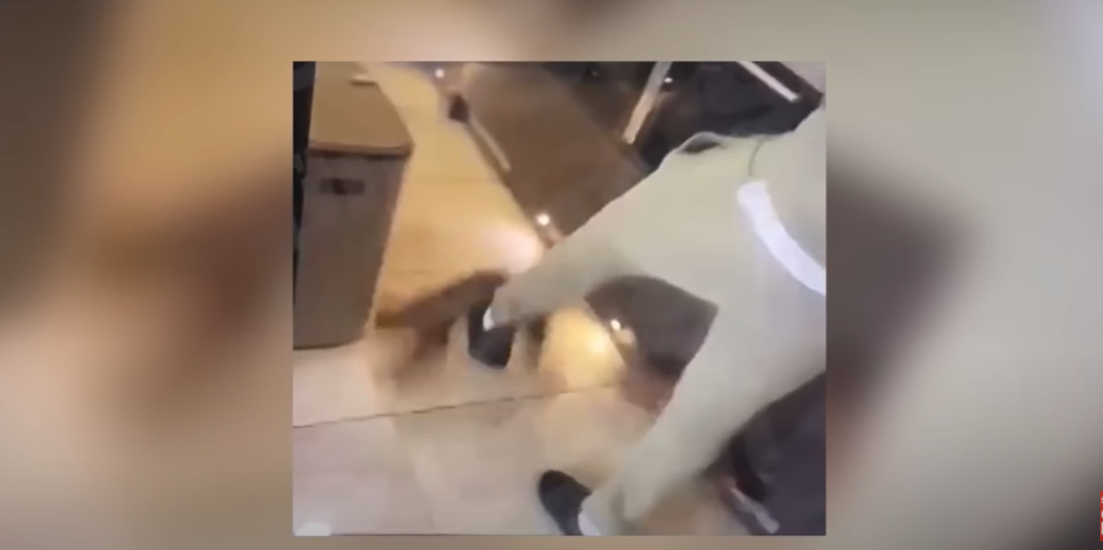 Kurt Zouma și-a cerut scuze public pentru comportamentul său șocant, după apariția unui clip video în care acesta își agresează fizic animalul de companie!