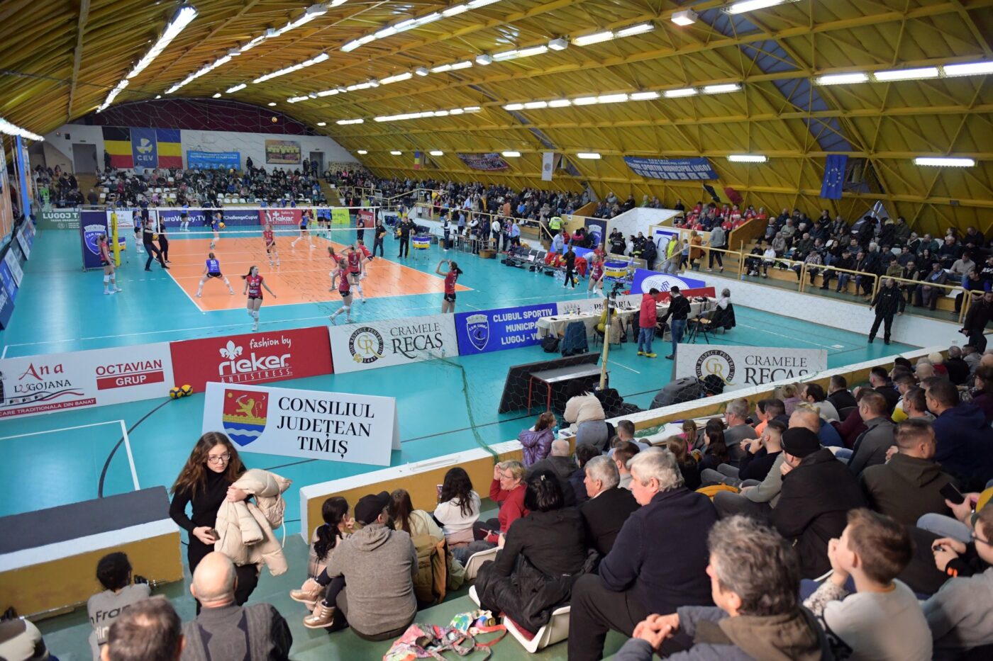 CSM Lugoj s-a calificat în premieră în semifinalele Cupei Challenge la volei 1