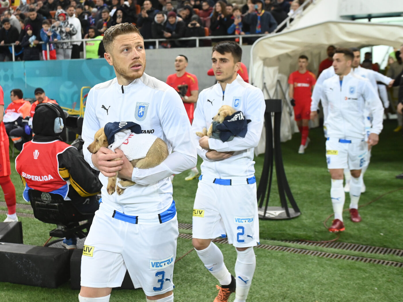 Oltenii sunt mulțumiți după FCSB – Universitatea Craiova 1-1: „Acest punct ne ajută mai mult pe noi decât pe ei”