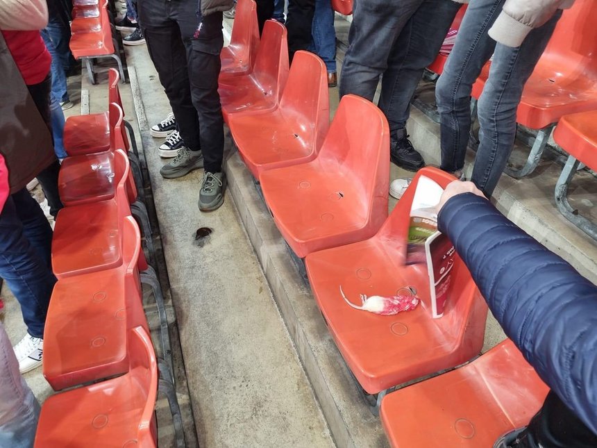 Imagini îngrozitoare din Belgia! Fanii lui Standard Liege, atacați cu șobolani morți: „Vom depune plângere!”