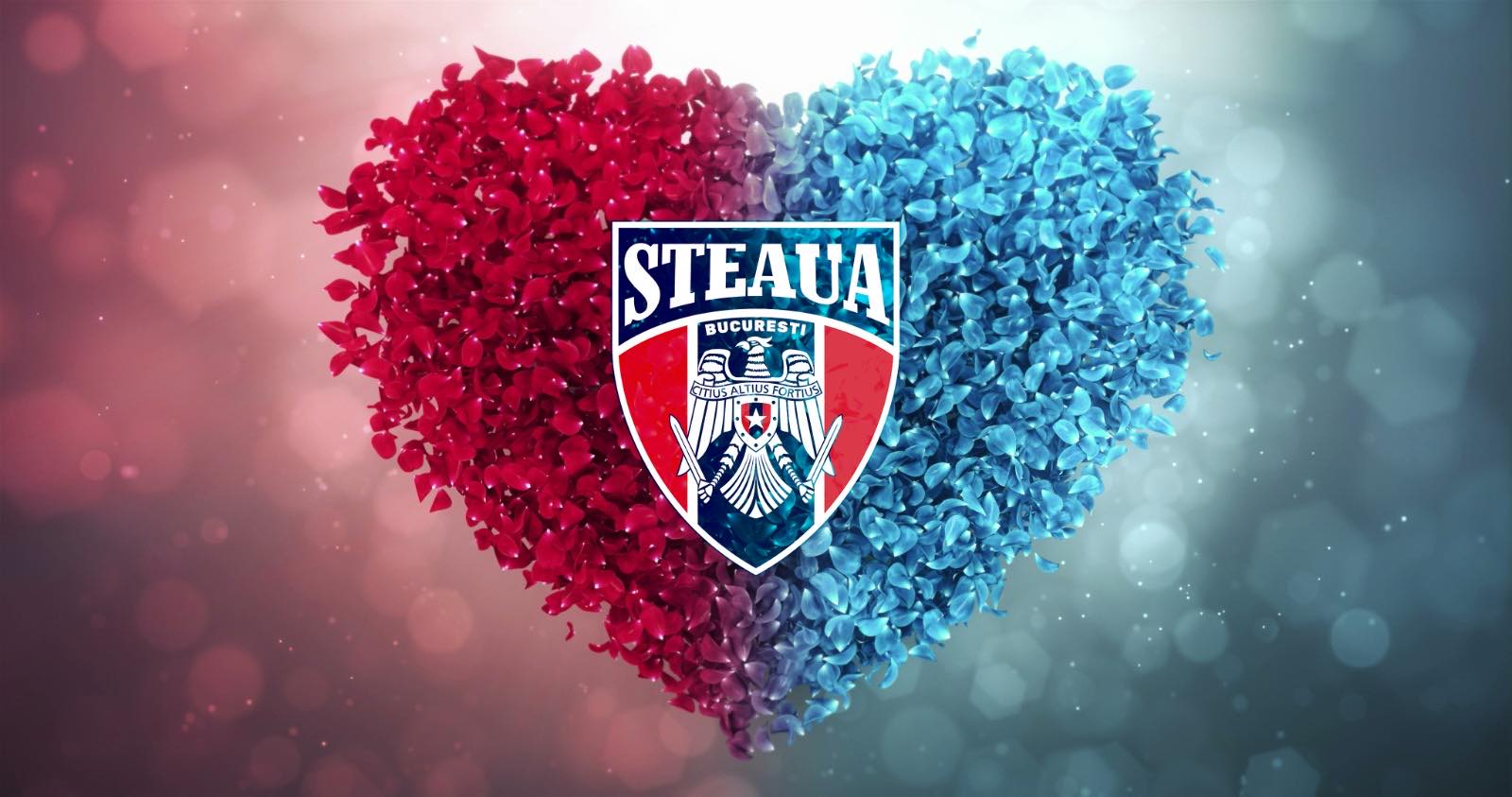 Stequa Steaua, lovitură după lovitură! Rivala Dinamo a anunțat transferul