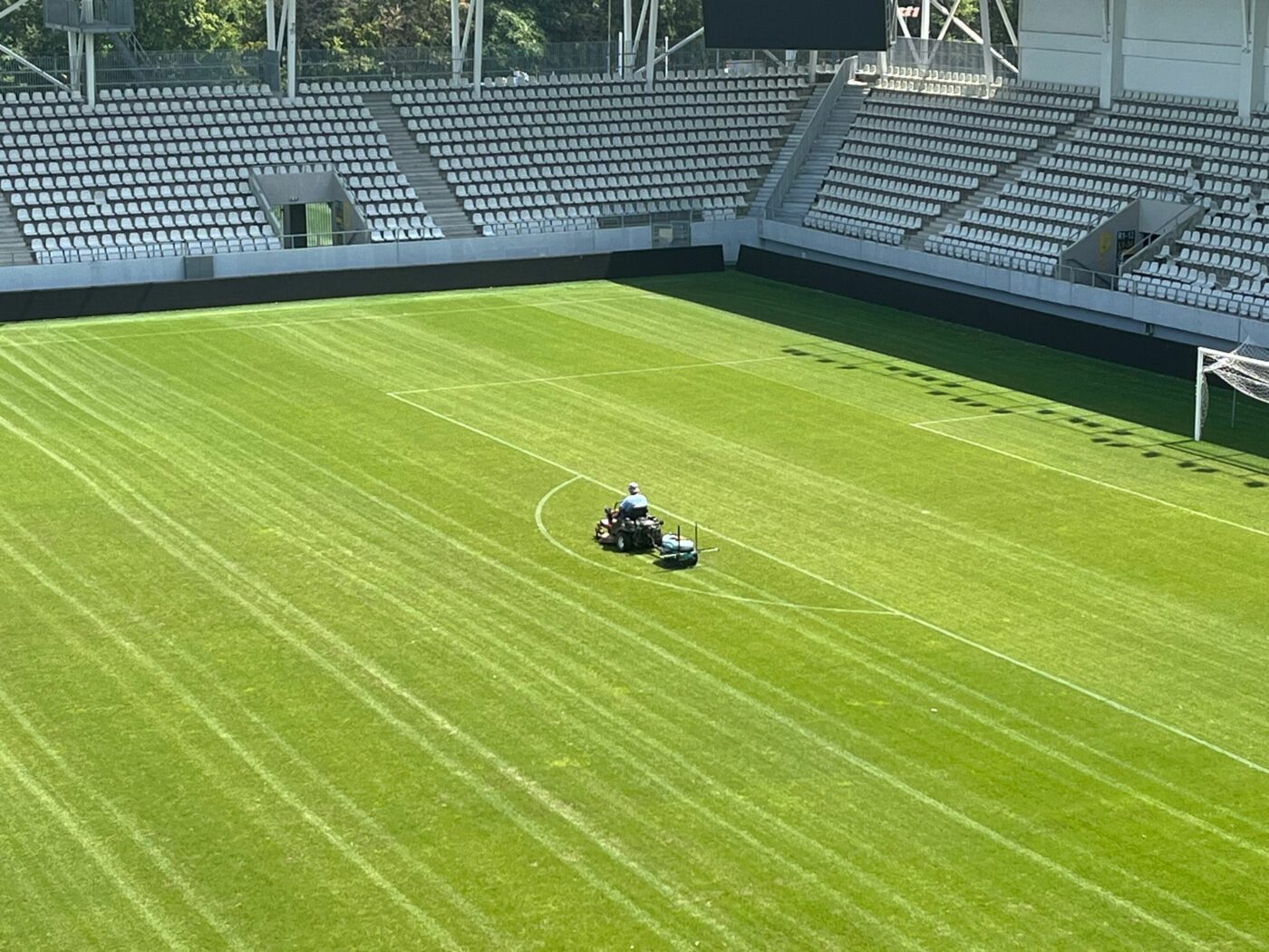 Arena Arcul de Triumf, în mare pericol după derby-ul FCSB-Dinamo! Ce „ciupercă” distruge gazonul și ce meciuri au de suferit | EXCLUSIV