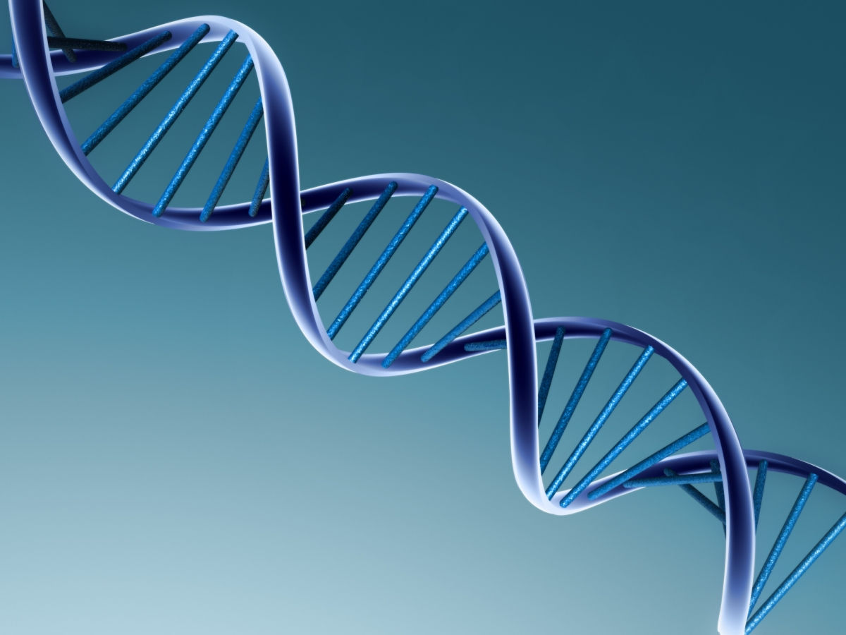 Ți-ai dorit vreodată să fii nemuritor? Omul poate ajunge să trăiască 20.000 de ani. Un expert de la Insititutul de Biogerontologie Moleculară explică cum se poate ajunge la o asemenea vârstă