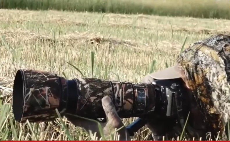 Canotorul Sergiu Bejan se costumează în culorile copacilor pentru a realiza fotografii inedite „Un șacal m-a simțit de la o distanță foarte mare” | VIDEO EXCLUSIV DRUMUL SPRE PARIS