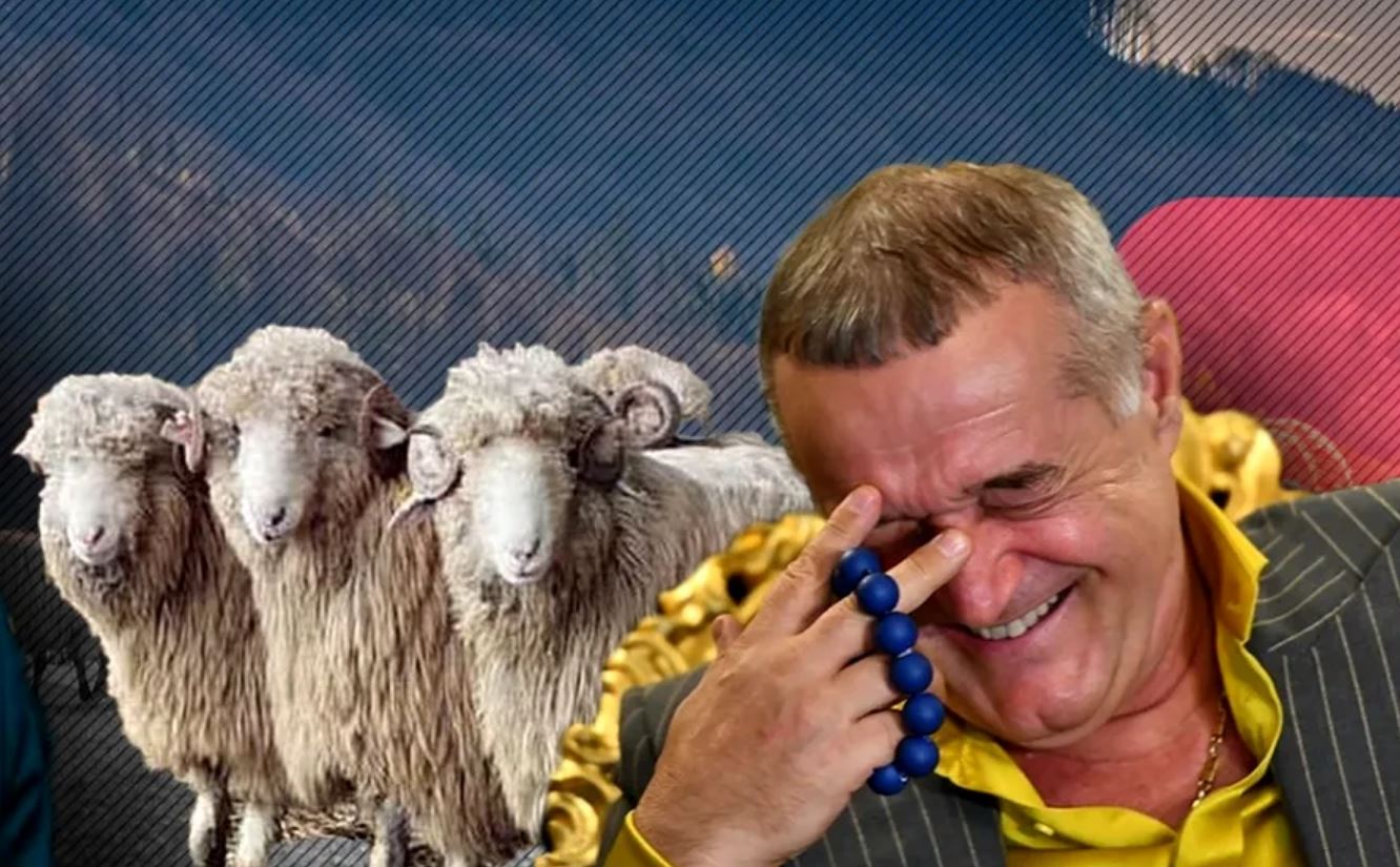 Gigi Becali i-a făcut oferta unui simbol al lui Dinamo să fie antrenorul FCSB! L-a chemat la un grătar cu cotlete de berbecuț: „Bă, ce te-aș aduce eu pe tine antrenor” | VIDEO EXCLUSIV PROSPORT LIVE