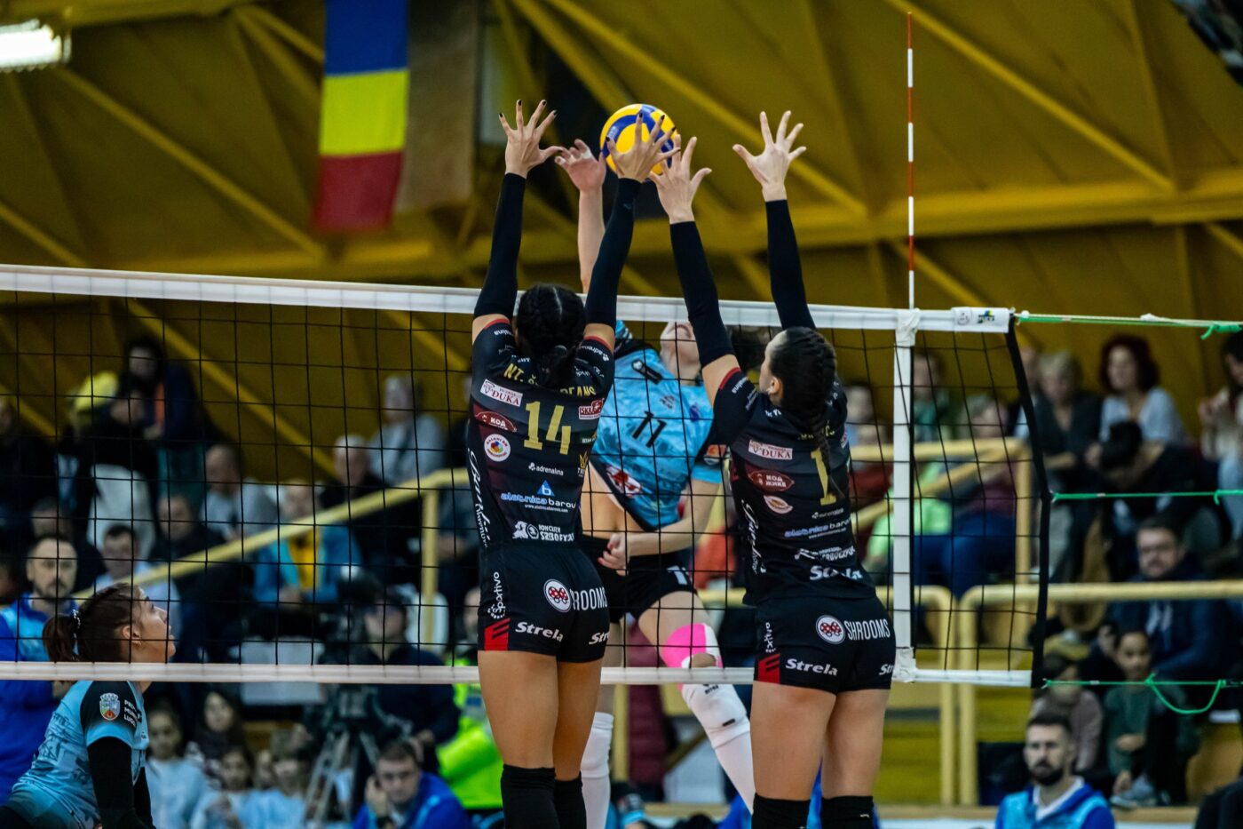 CSM Lugoj, o nouă victorie europeană, 3-0 cu Tent Obrenovac