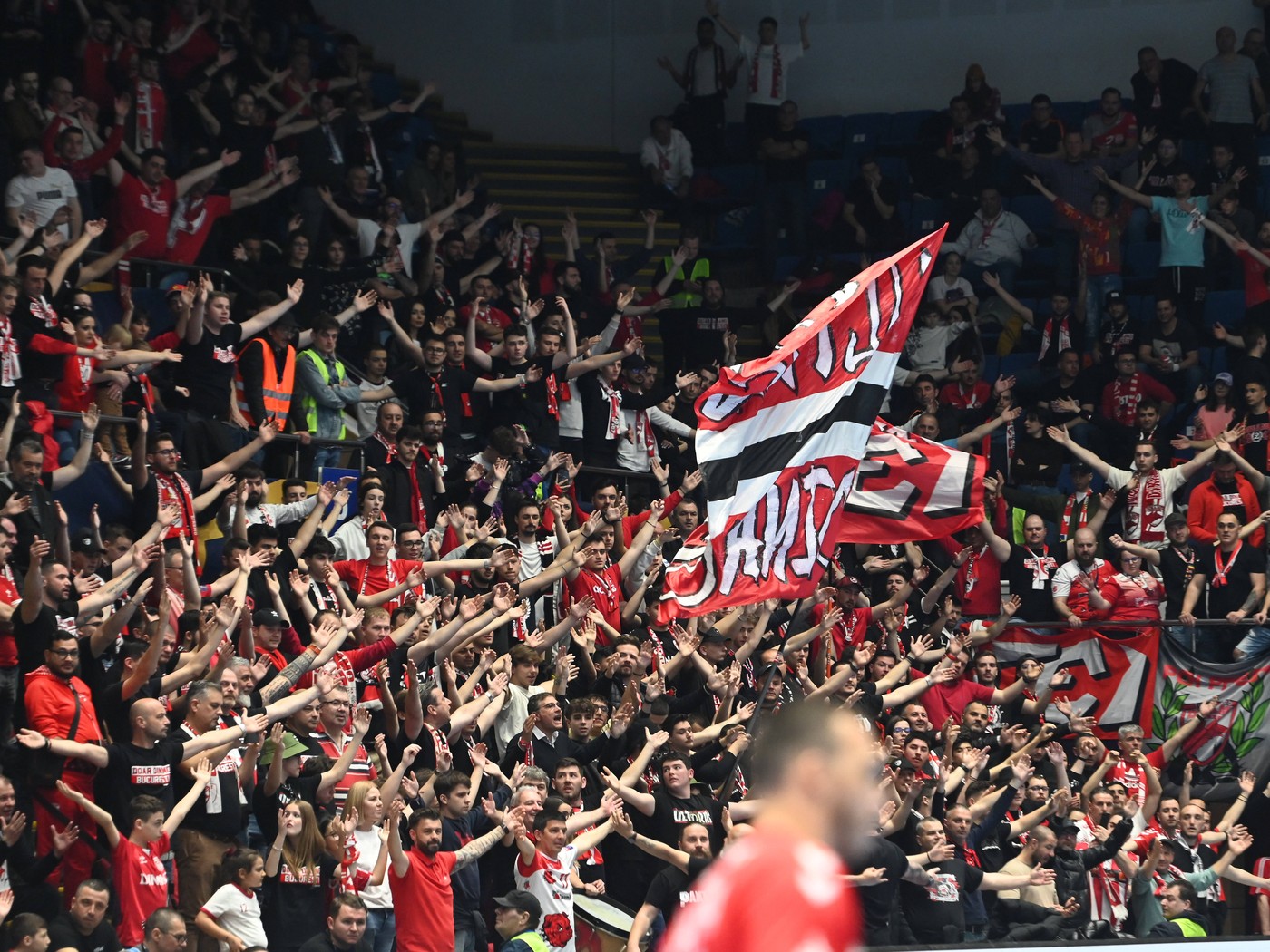 Dinamo, gata să revină la „masa bogaților” în Liga Campionilor! Când află „dulăii” dacă vor primi wild-card pentru super meciurile din Europa! Președintele e cel mai optimist: „Va fi cel mai bun an”. EXCLUSIV
