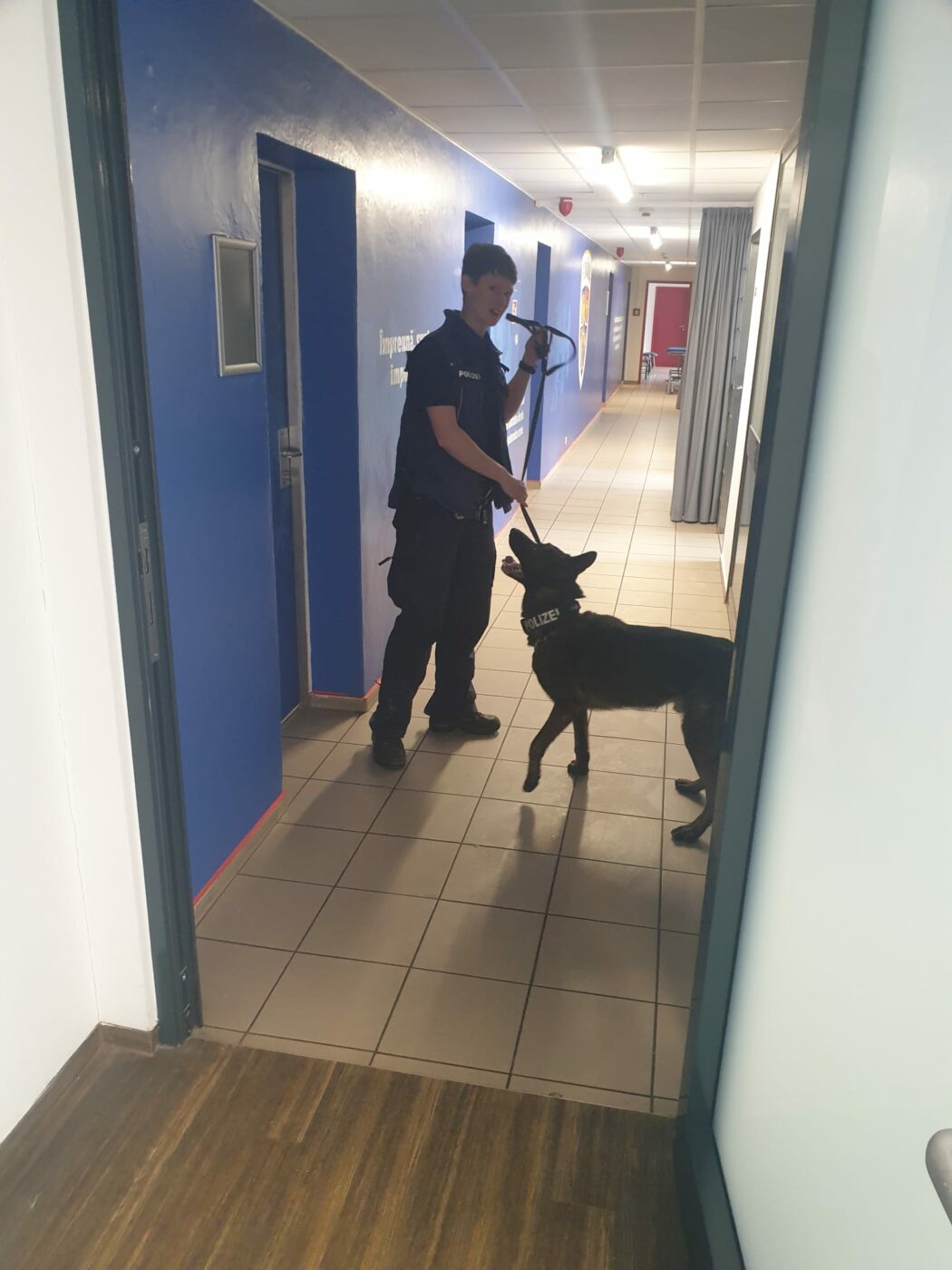 Poliția germană în alertă la antrenamentele naționalei României de la Wurzburg! Vestiarele tricolorilor, verificate cu câini special antrenați antitero! EXCLUSIV FOTO
