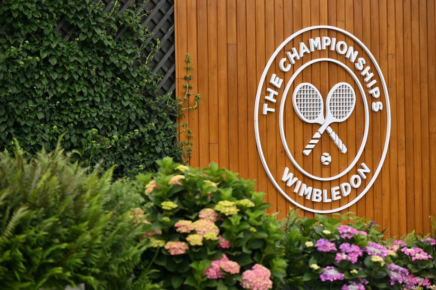 Turcii anunță premiile ireale în bani de la Wimbledon și readuc în discuție numele Simonei Halep! Ce avere ar fi luat românca dacă era campioană în 2024 și nu în 2019