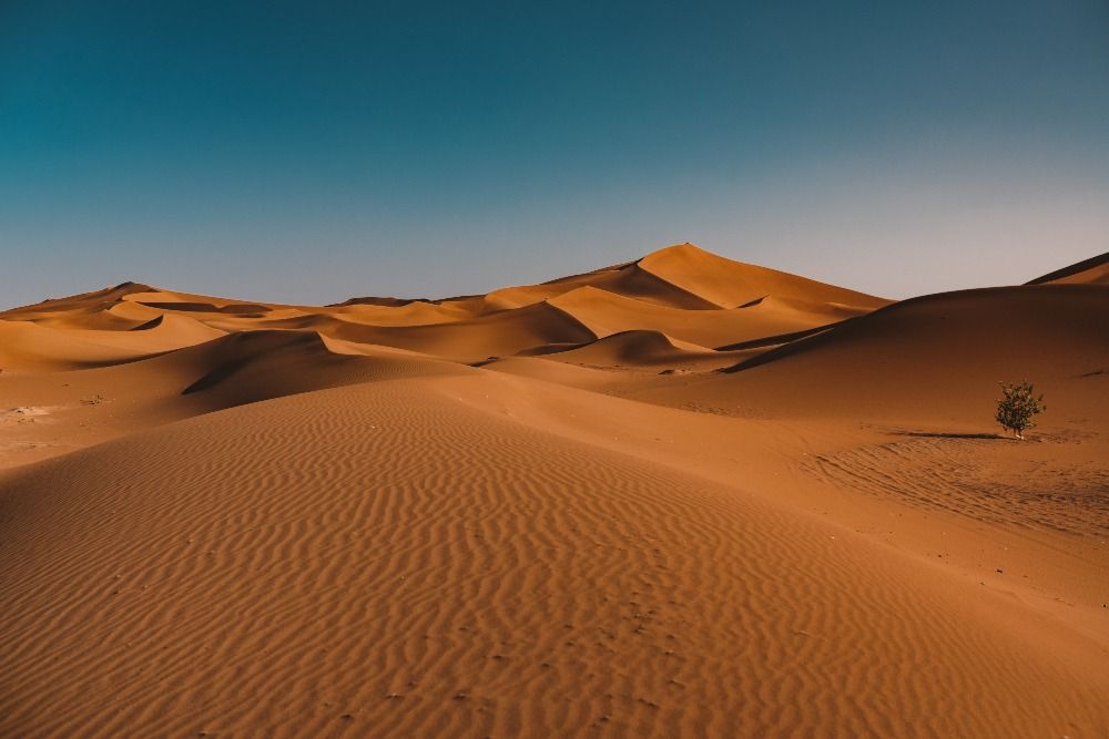 (P) 8 lucruri interesante despre deșertul Sahara