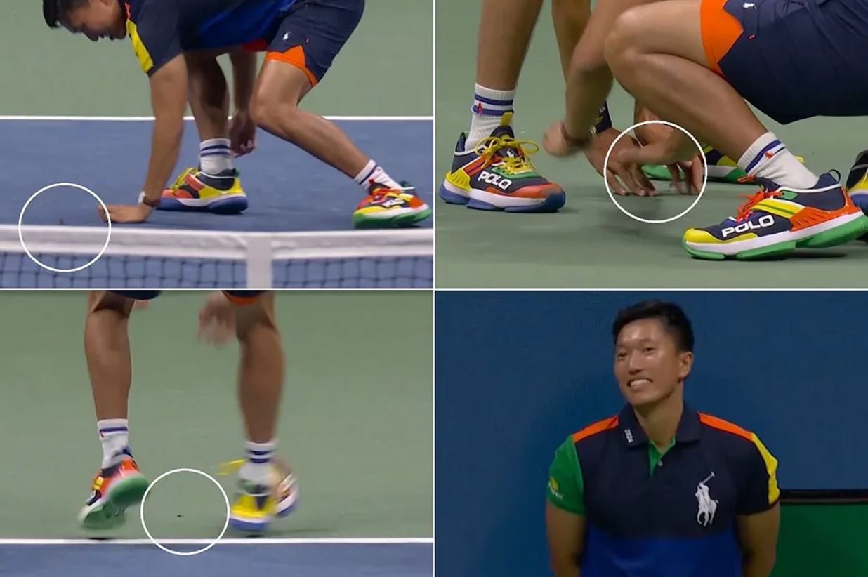Absolut şocant! Partida de la US Open, amânată din cauza unei insecte