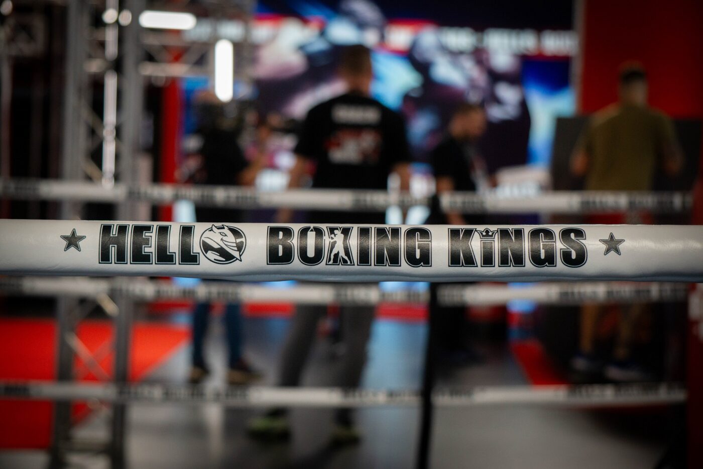 Mega-proiectul de box a fost recunoscut de World Boxing Organization! Pe lângă o recompensă financiară considerabilă, câștigătorul HELL Boxing Kings va primi și un titlu (P)