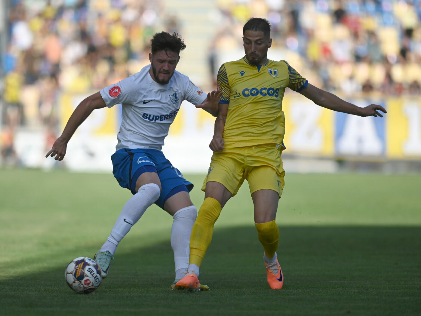 Petrolul Ploiești – Farul Constanța Live Video Online în etapa 9 din Superliga. Echipele probabile. „Lupii” sunt neînvinși de șase meciuri, iar cu o victorie urcă pe podium!