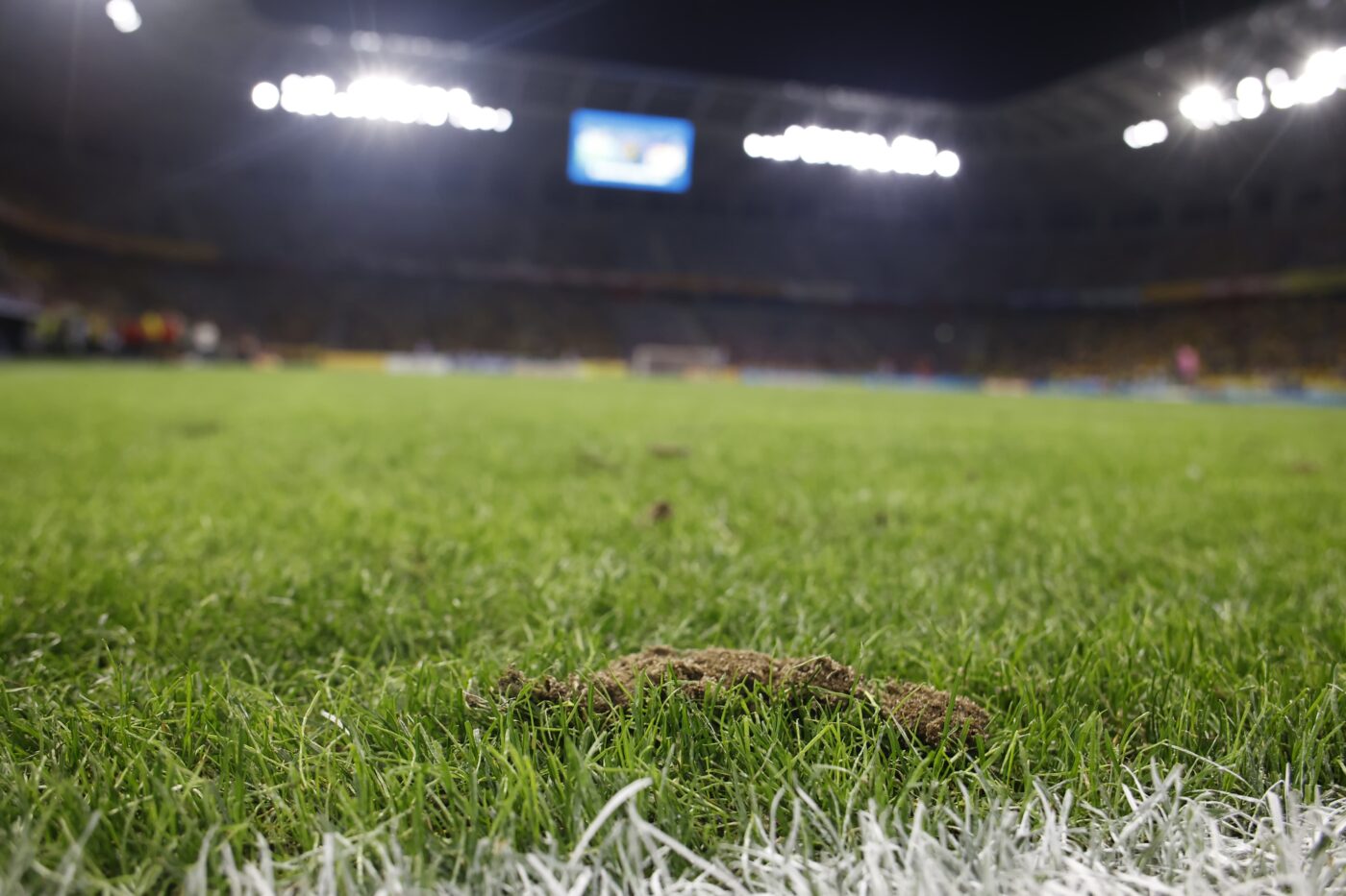 Firma care se ocupă cu mentenanța ierbii de pe stadionul Steaua a reacționat cu privire la mocirla apărută. Din ce motive gazonul din Ghencea arată ca niște tranșee