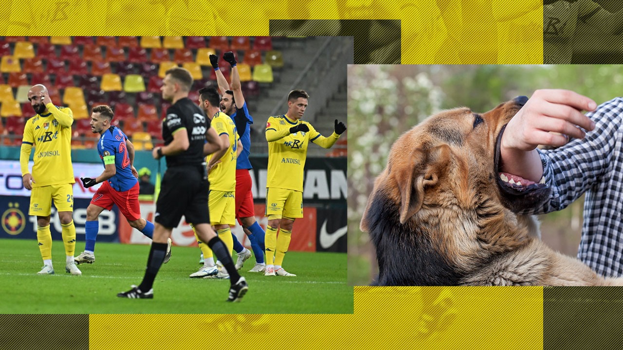 Prima reacție a fotbalistului din Superliga mușcat de un câine: „Am intrat să-i despart!”. Cum se simte după ce a fost la un pas de o tragedie și când va reveni pe teren. EXCLUSIV