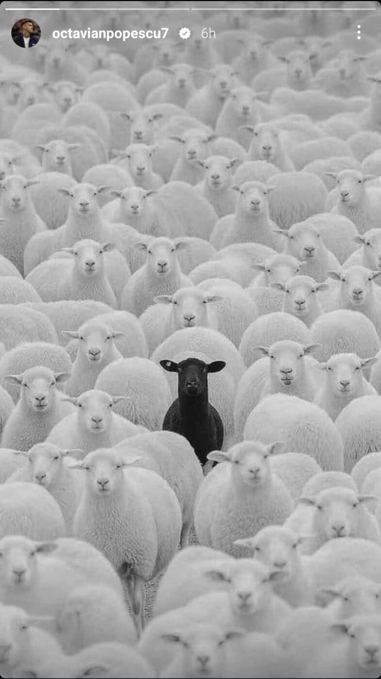 Sursa foto: Captură Instagram