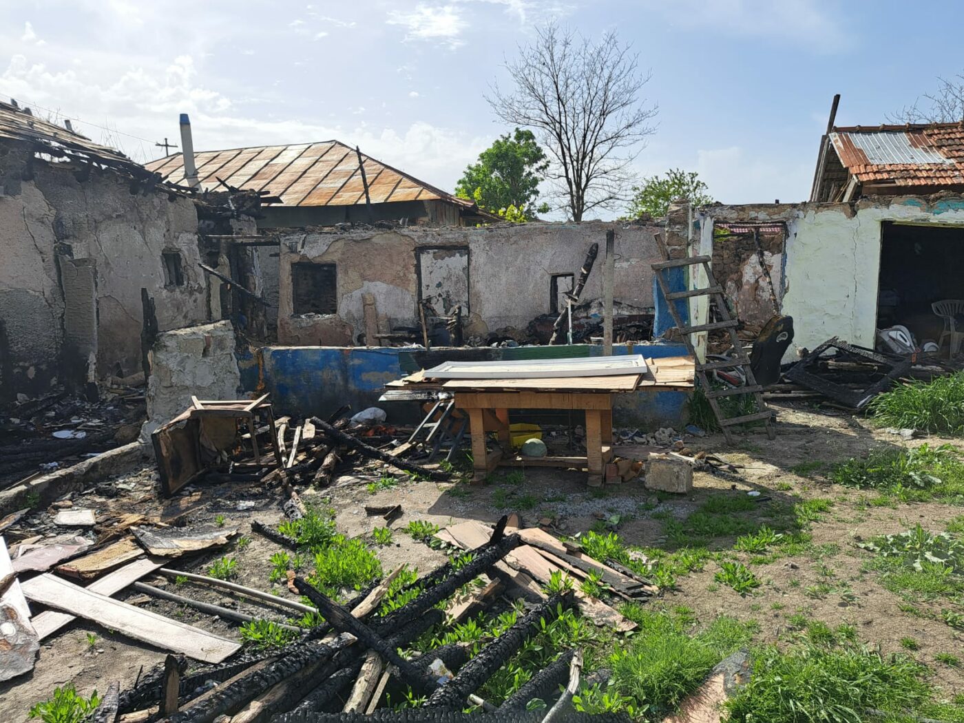 Ce fapte bune au făcut luptătoarele din lotul național înainte de Paște, proaspăt întoarse de la Europenele de la Bratislava! „Nu suntem nepăsătoare”. SPECIAL
