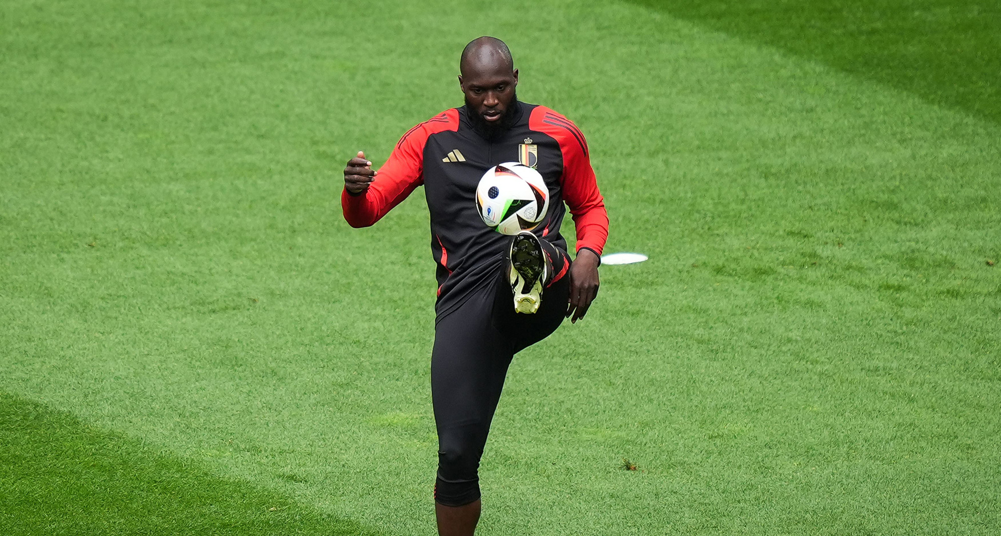 Key Takeaways from the Training Ground