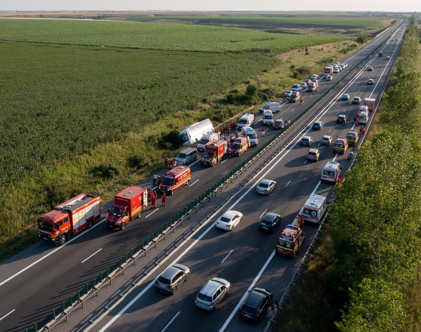 Decizia luată de FRB, după ce antrenorul de 23 de ani a murit în accidentul de pe A2. N-a stat pe gânduri: „Anulate!”