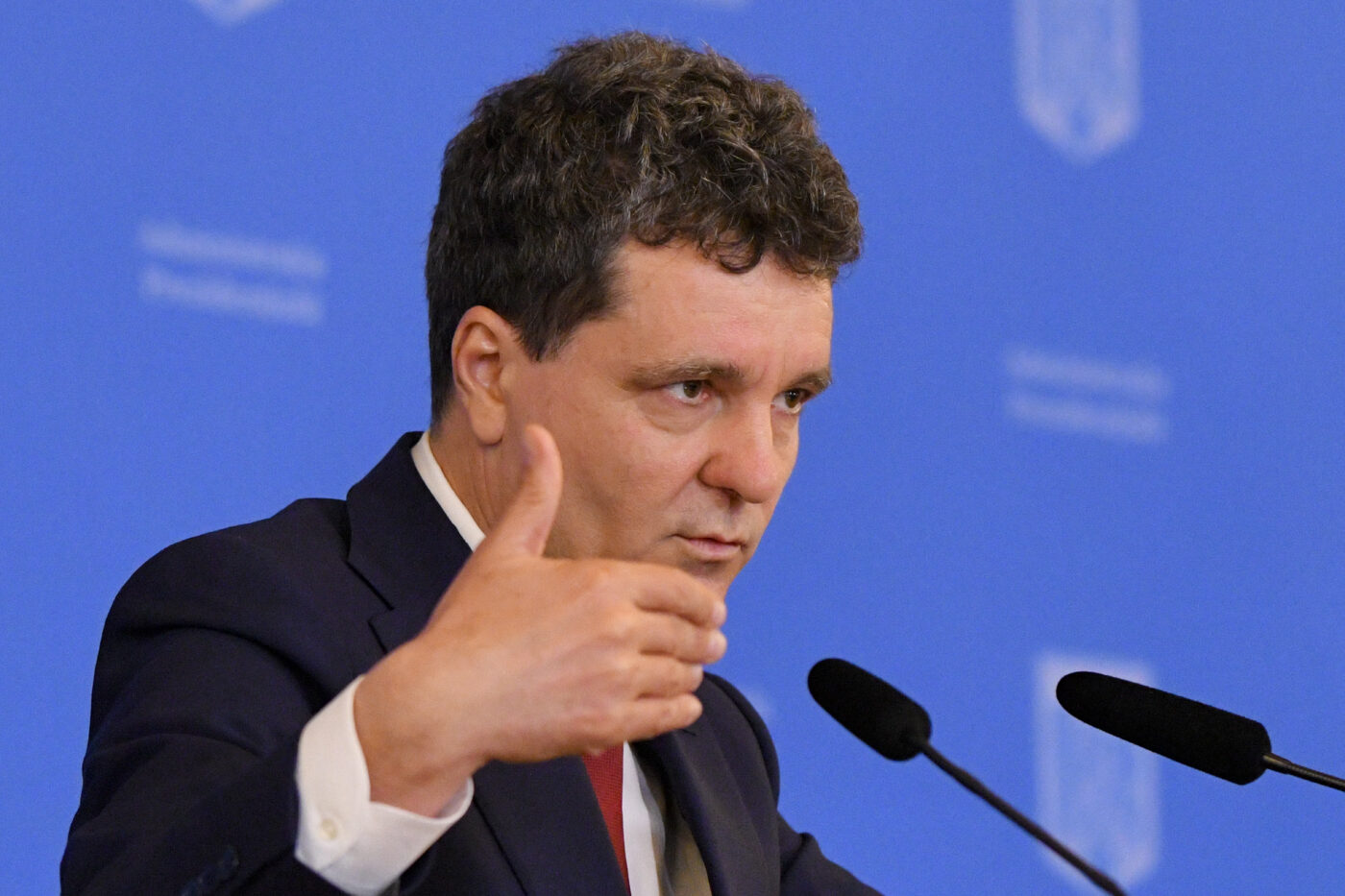 „Asta înseamnă să fii președinte”. Milionarul a văzut că Nicușor Dan tergiversează decizia și l-a lăudat