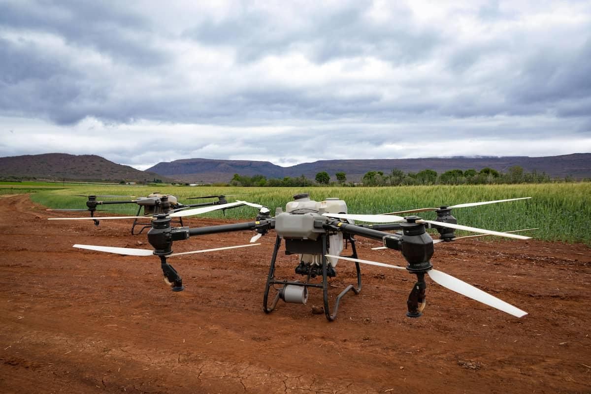 (P) Fermele viitorului: cum au devenit dronele noul aliat al fermierului modern