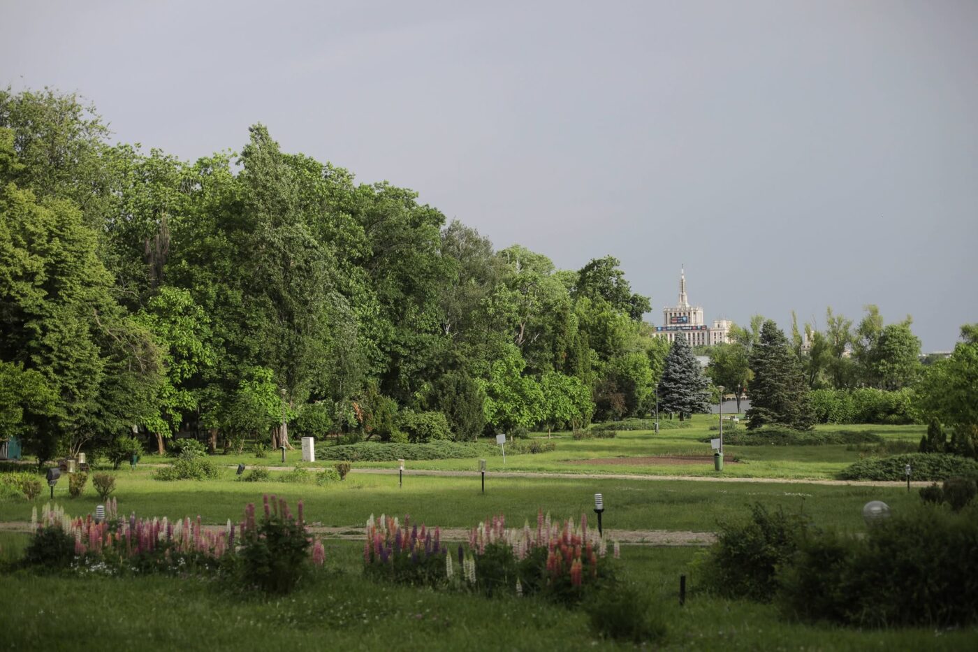 Ce a descoperit în București portughezul de 51 de ani, care a trăit înainte în Ungaria: „Parcul Herăstrău este…”
