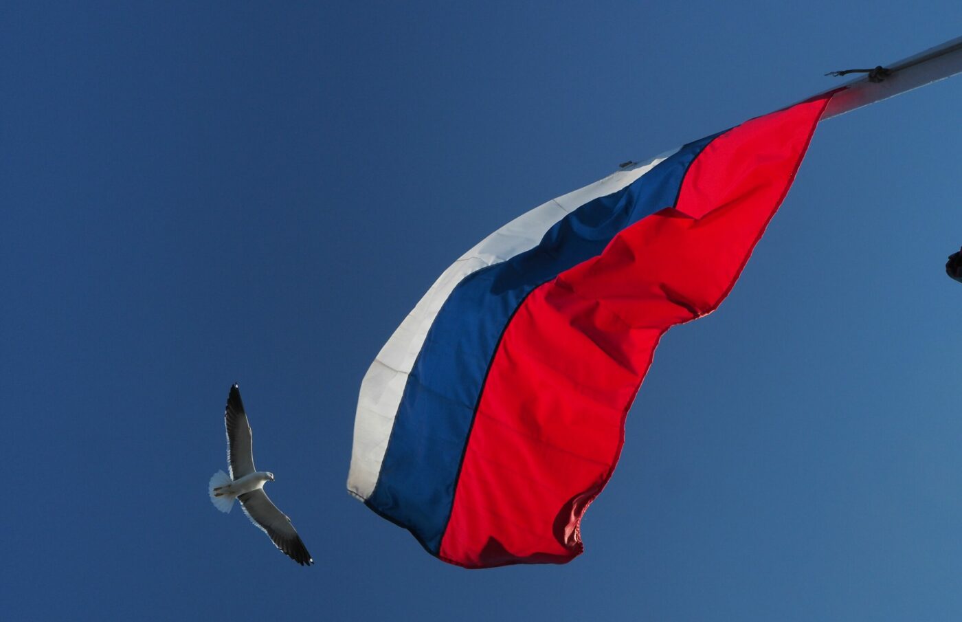 Norvegienii au lansat un atac dur împotriva vedetelor lui Putin! „Drumul lor este blocat”: motivul pentru care Rusia nu trebuie reprimită